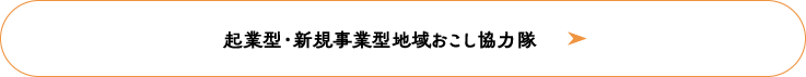 起業型・新規事業型地域おこし協力隊